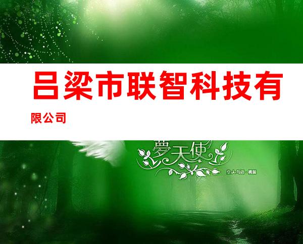 吕梁市联智科技有限公司
